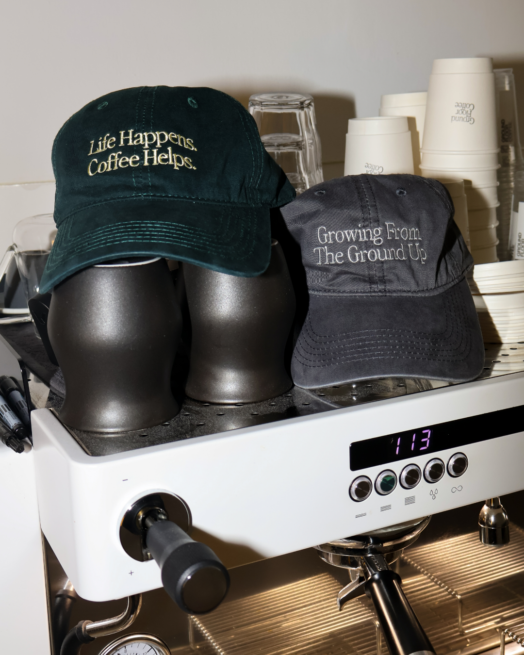 Growing From The Ground Up Cap (Washed Grey)
