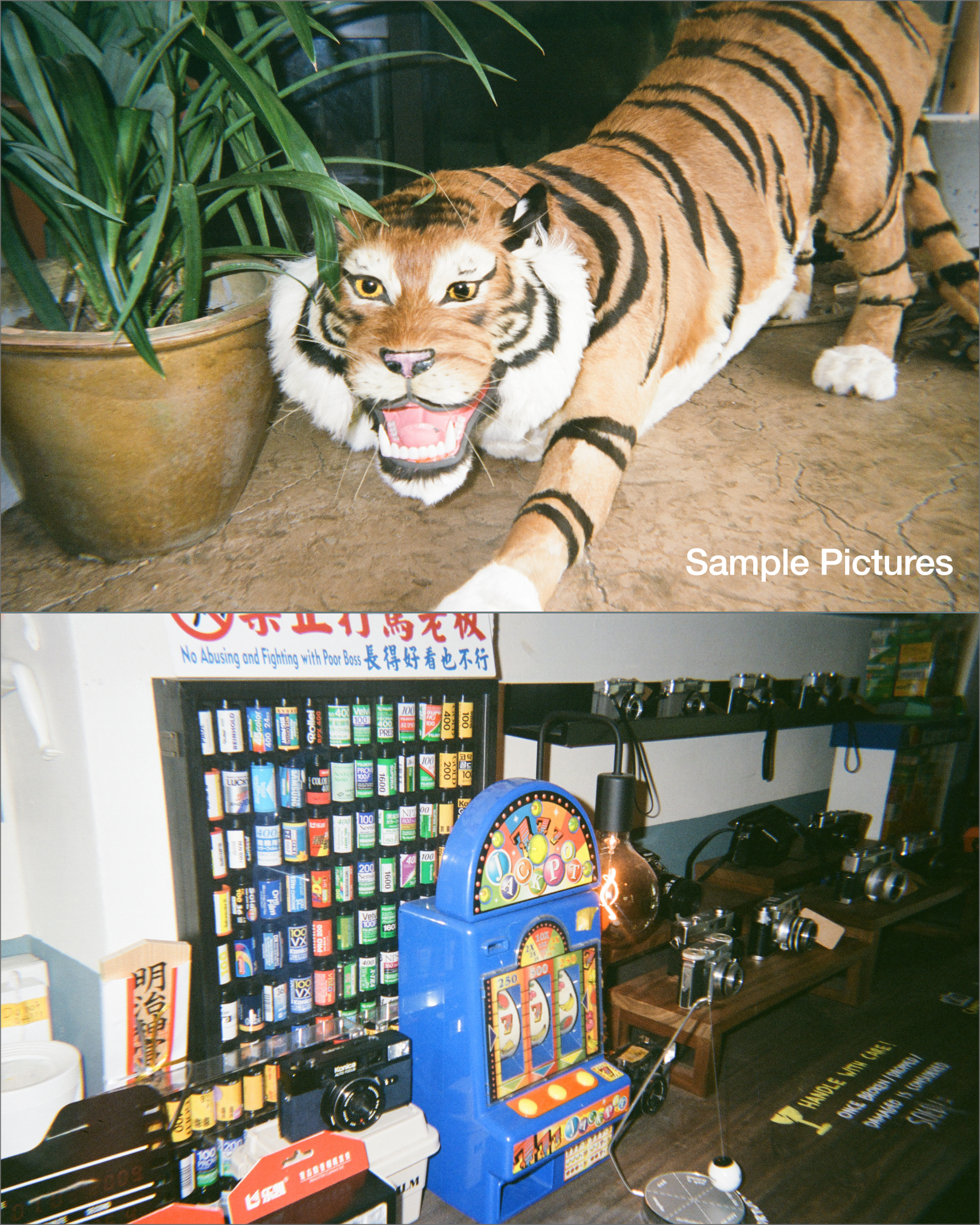 Upcycled Disposable Film Camera