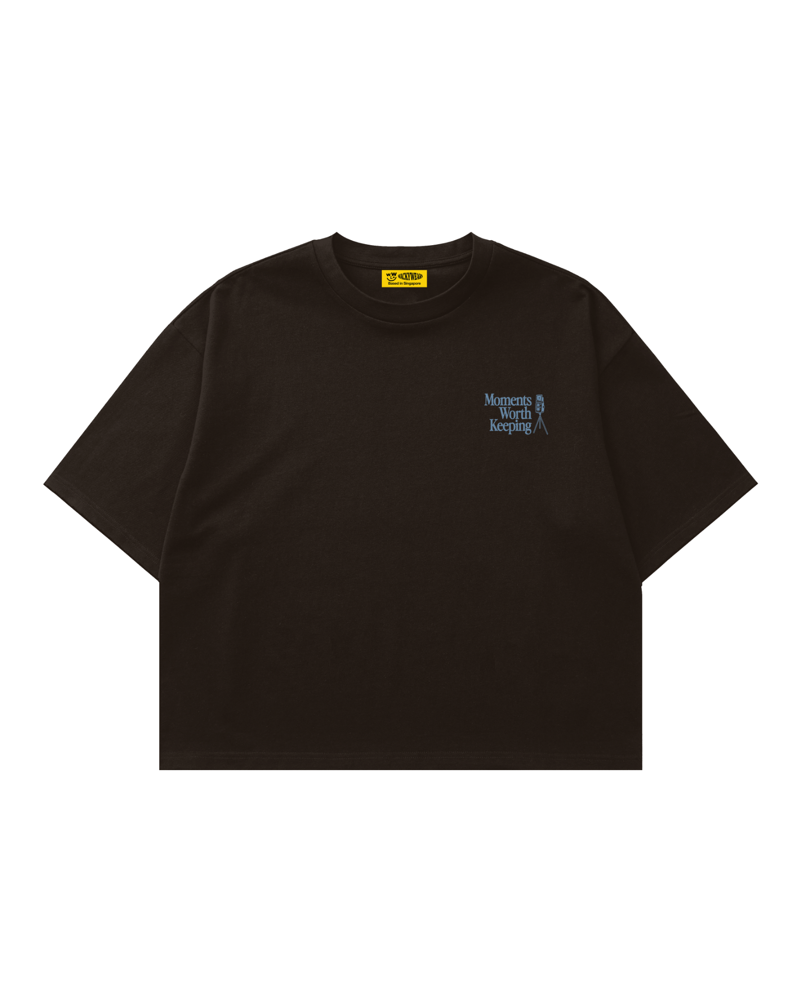 Moments Worth Keeping - Boxy Tee (Brown)